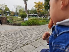 -成飞公园