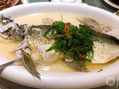 古法盐水蒸北江大禾顺鱼-山泉公馆酒家(广州东站店)