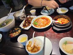 -陈麻婆豆腐总店