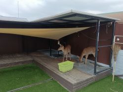 -小蜜蜂农场(凯德七宝购物广场店)