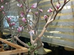 -一轩饺子馆(丽都店)