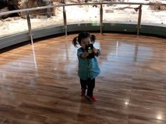 -陕西自然博物馆