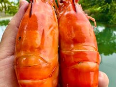 -徐岛主·特色农家乐(阳澄湖莲花岛店)