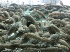 -合家小菜餐馆(新诚花苑店)