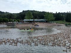 -郴州特产舜华临武鸭(郴州西站店)