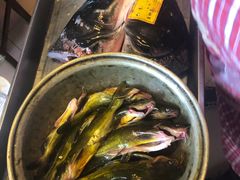-姥家大锅台水库渔家