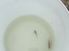 -昆山招商花园城