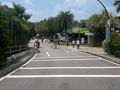 -圣淘沙天际线斜坡滑车