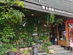 -青木造型HAIR·あおき髪を刈る潮人店