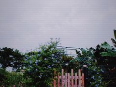 -扬美古镇景区