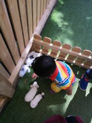 -萌宠亲子动物乐园(槐房万达店)