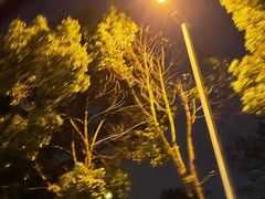 -团圆口腔·种植中心(锦江院区)