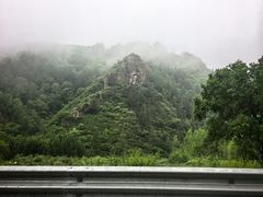 -御道口草原森林风景区