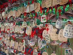 -龙凤山庄影视度假村