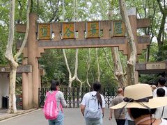-灵谷景区