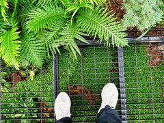 -深圳仙湖植物园