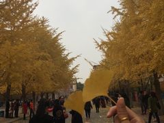 -辽宁大学(崇山校区)