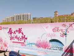 -桃花堤公园