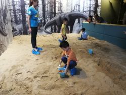 -恐龙探索乐园(磁器口店)