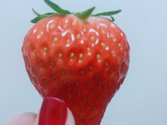 -百果园(奕淳公寓店)