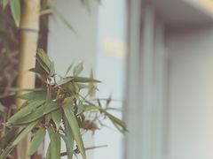-DEEP COFFEE(瑞光烘焙工厂店)