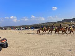 -库伦旗银沙湾旅游景区