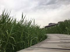 -西安汉城湖景区