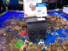 -盒马鲜生(莱蒙都会店)