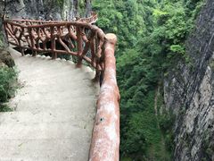 -鹿院坪生态旅游景区