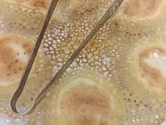 -良友·海鲜青岛菜(五四广场店)