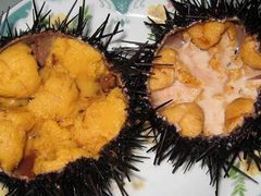 -万宝海鲜舫(劳动公园店)