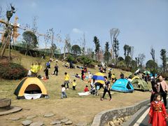 -枫香湖儿童公园