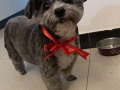 -宠物家(大兴旧宫店)