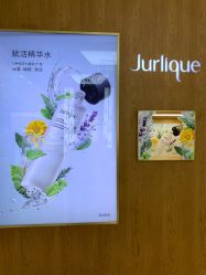 点击看大图 -茱莉蔻