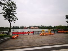 -上海长兴岛郊野公园