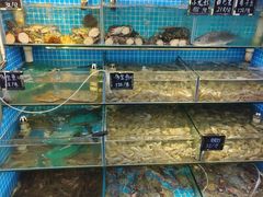 -北戴河庆山饭店·海鲜砂锅粥(北戴河黑石路店)