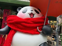 -轩客会(熊猫书店)