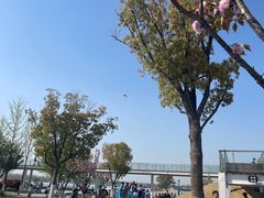 -幕燕滨江·长江观音景区