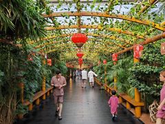 -东方华地城湿地温泉度假区