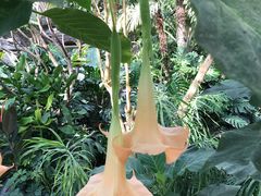 -北京植物园-展览温室