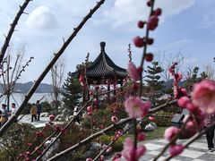 -东钱湖旅游度假区