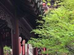 -檀园
