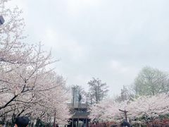 -堤角公园