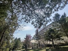 -周口店北京人遗址公园