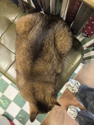 -优刻西服西装定制(金轮国际广场店)