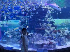 -左海海底世界