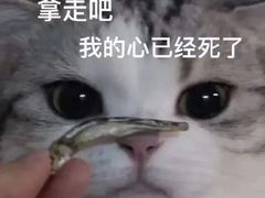-十一咖啡(青年大街工厂店)