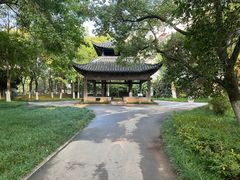 -沙市市中山公园