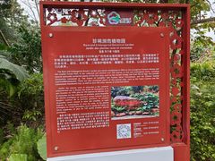 -广州市流溪河国家森林公园