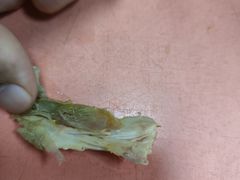 -觅姐麻辣烫(安定门店)